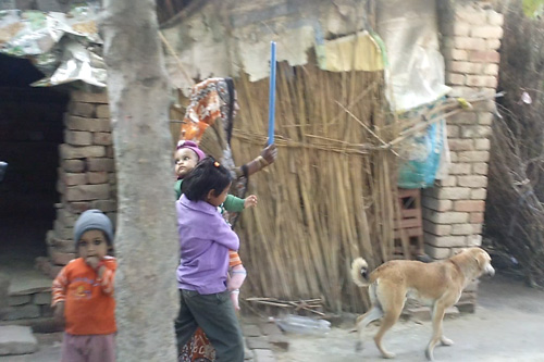 Gewalt in Indien - wenn Hunde genau wie Kinder geliebt und geschlagen werden - 12 Mar 14