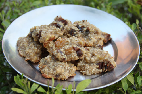 Read more about the article Recipe for Quick Weekend Cookies of Banana and Oat – 5 Sep 15