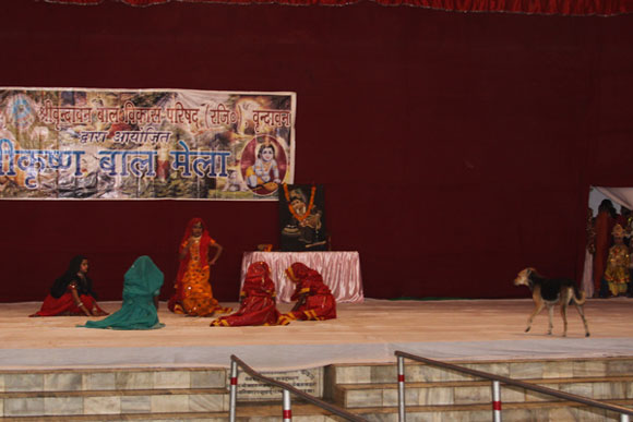 Indian Chaos at a Dance Festival - 15 Nov 09