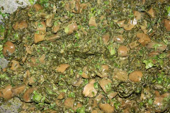 Palak Mushrooms - Einfaches Ayurvedisches Rezept für indischen Spinat mit Pilzen - 26 Feb 11