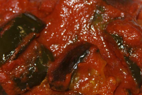 Eggplant in Tomato Sauce - Delicious Ayurvedic Vegetarian Aubergine Recipe - 14 May 11
